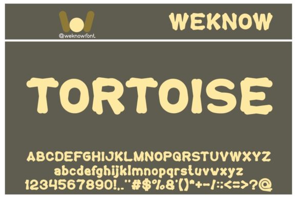 Tortoise: A Bold Display Font for Modern Web Design
