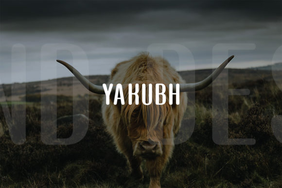 Yakubh: A Modern Display Typeface for Bold Editorial Design